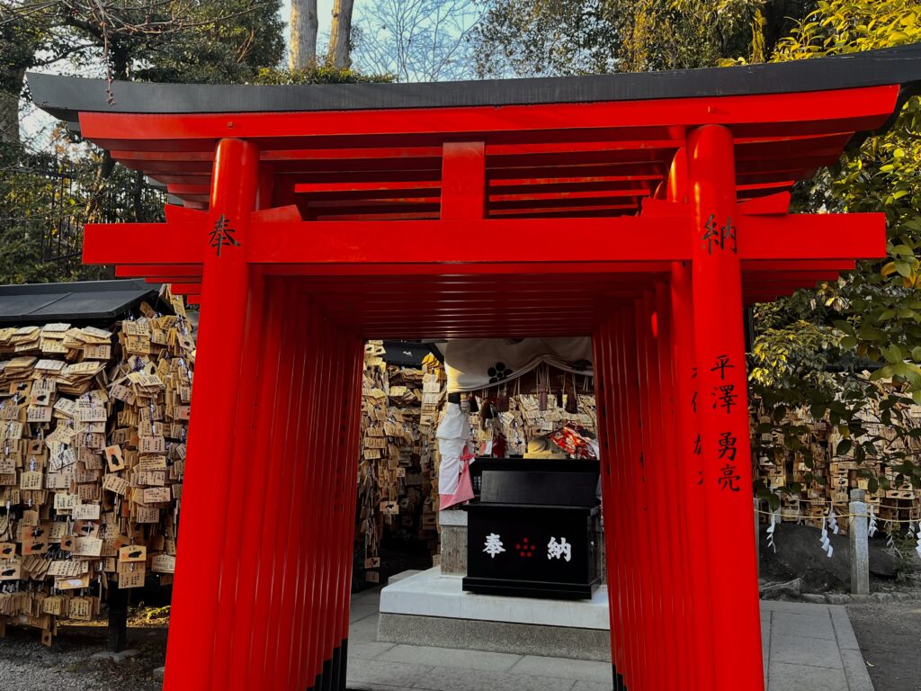 Torii gates