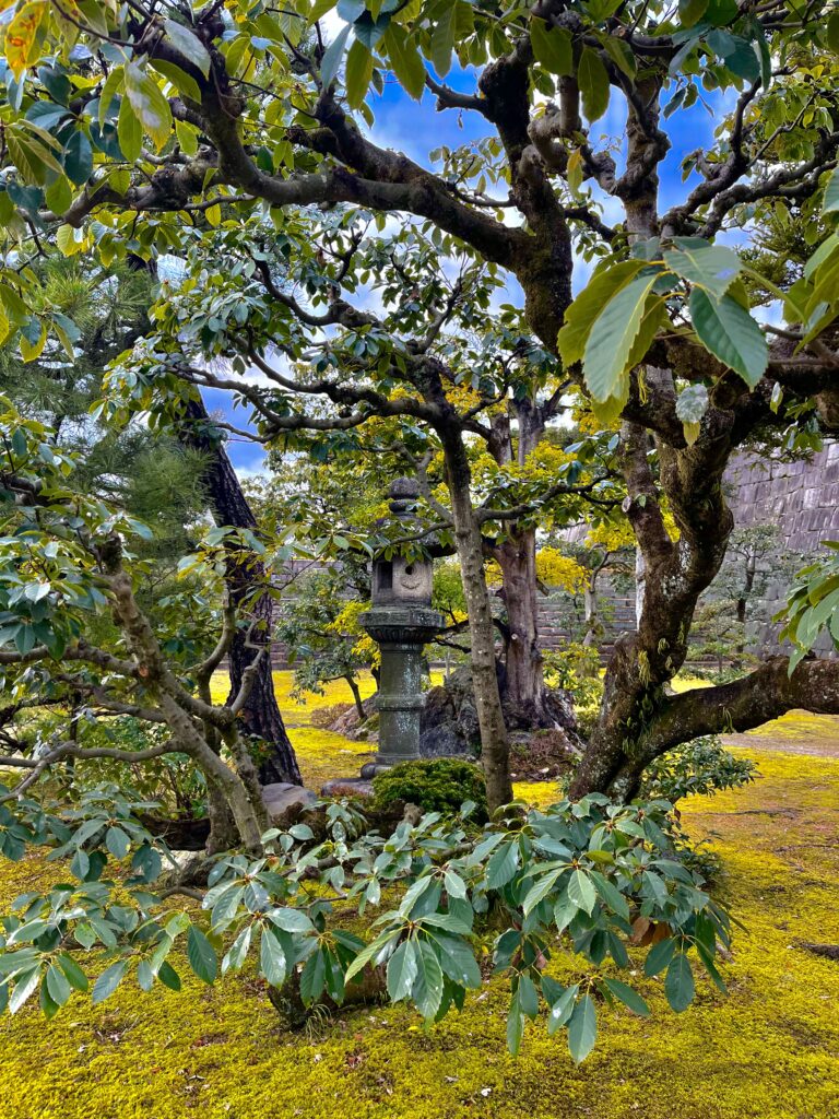 Honmaru Garden: stone lantern