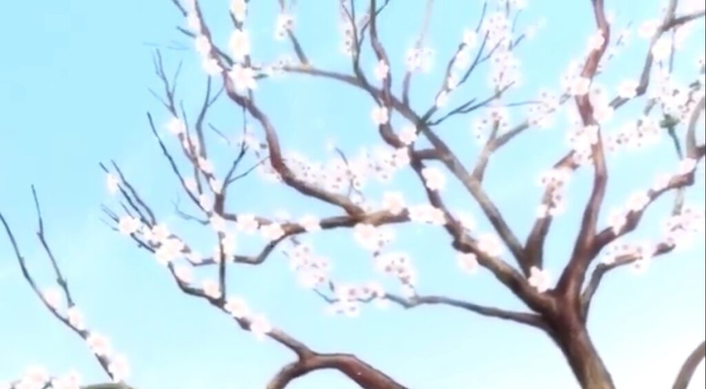 Plum blossom trees