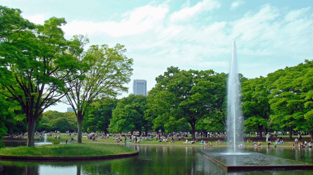 Yoyogi Park (Source: Wikipedia)