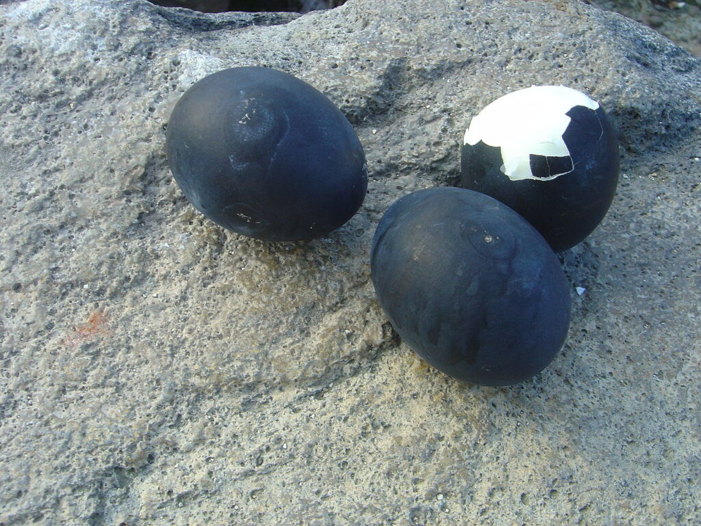 Kuro-Tamago (Black eggs) Source: Wikipedia